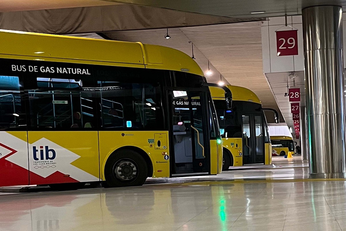 Cómo funciona el TIB en Mallorca: guía para moverse por la isla