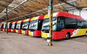 Precios EMT y TIB Mallorca 2026: cuánto cuesta el transporte público Precios del EMT y TIB de Mallorca en 2026