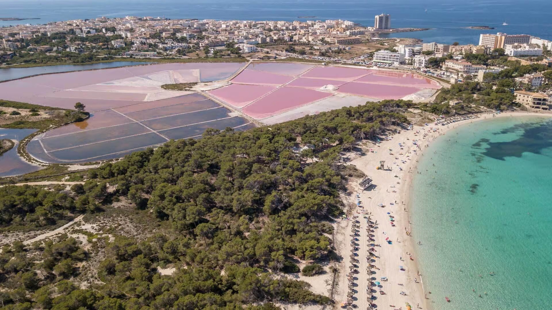 Colònia de Sant Jordi: playas y costa de Mallorca