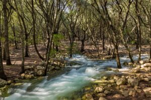 Ses Fonts Ufanes de Campanet – Ruta y naturaleza