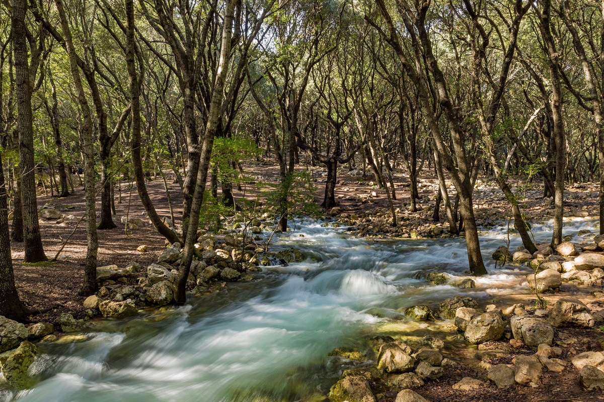 Ses Fonts Ufanes de Campanet – Ruta y naturaleza