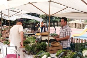 Mercados ecológicos en Mallorca: dónde comprar productos locales y de temporada Mercado ecológico con productos locales de Mallorca