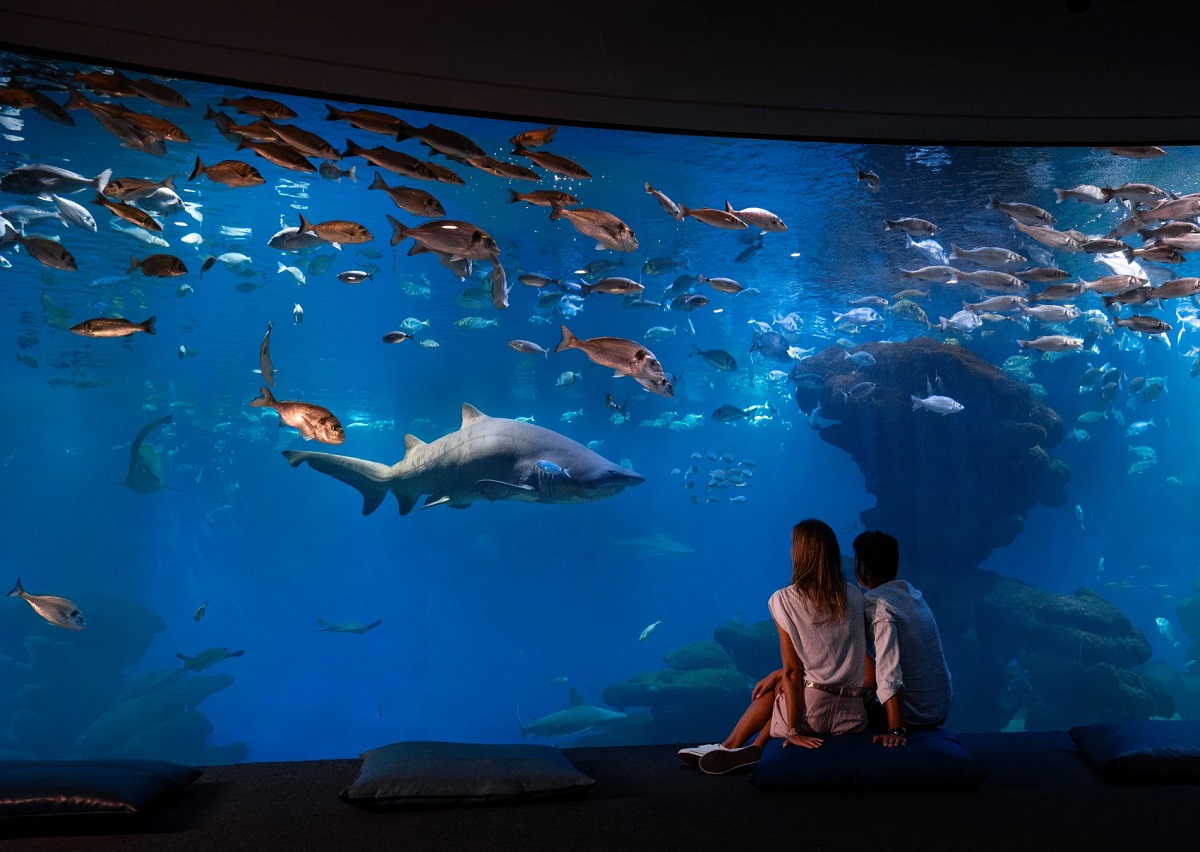 Palma Aquarium Mallorca