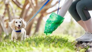 Multas por perros en Mallorca