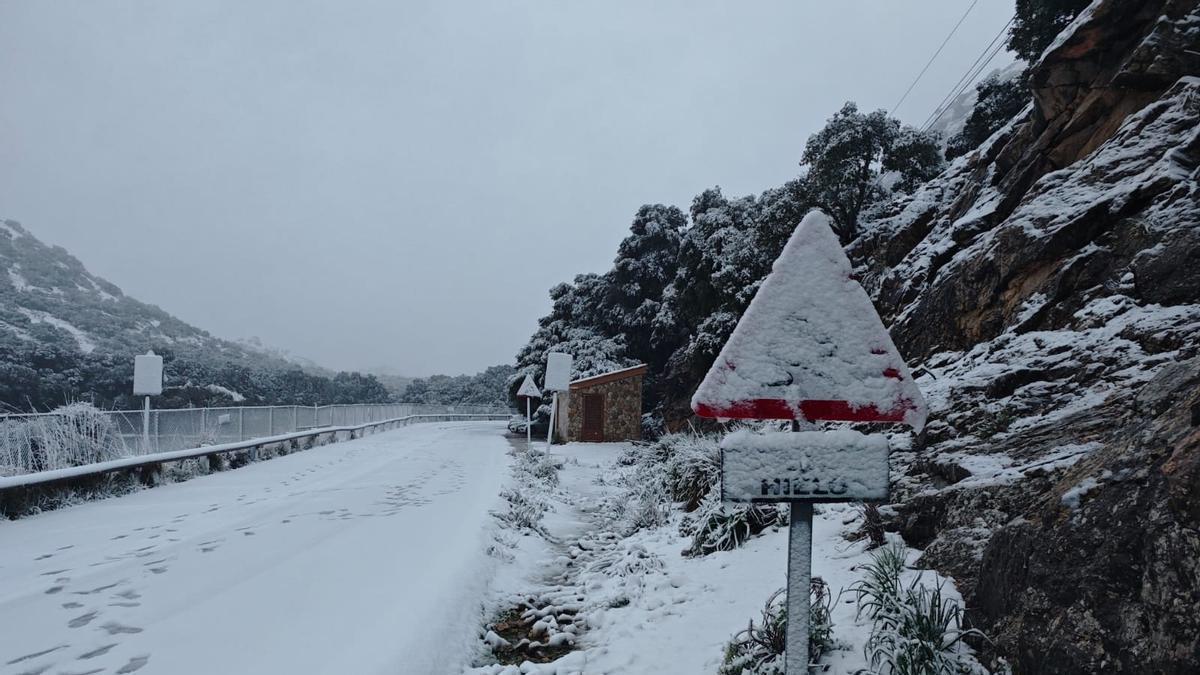 Grandes nevadas de Mallorca
