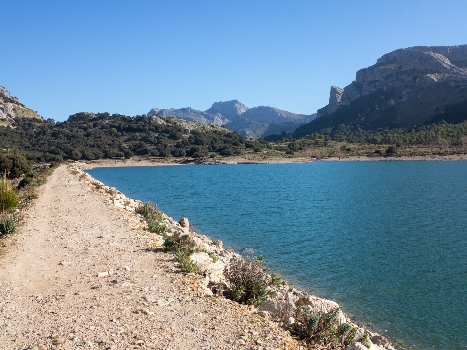 7 planes originales para grupos en Mallorca: ideas para celebrar, compartir y vivir experiencias diferentes
