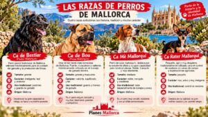 Razas de perro autóctonas de Mallorca